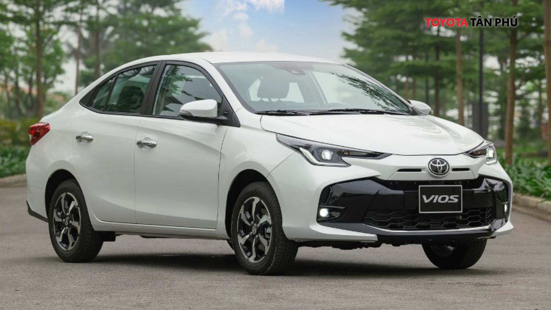 Ngoại Hình Vios