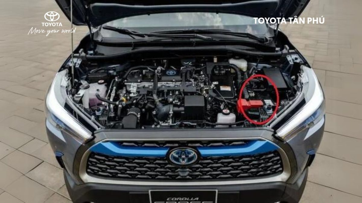 binh-ac-quy-toyota