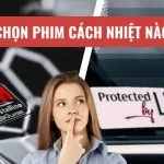 Hướng Dẫn Chọn Phim Cách Nhiệt: So Sánh 3M Và Llumar Dựa Trên Nhu Cầu