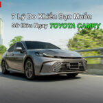 7 Lý Do Khiến Bạn Muốn Sở Hữu Toyota Camry 2025 Ngay