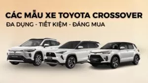 Read More About The Article Các Mẫu Xe Toyota Crossover 2025 – Đa Dụng, Tiết Kiệm, Đáng Mua