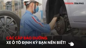 Read More About The Article 4 Cấp Bảo Dưỡng Xe Ô Tô Định Kỳ